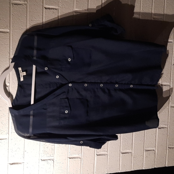 Daniel Rainn Blue Sheer Button Blouse - Picture 1 of 5